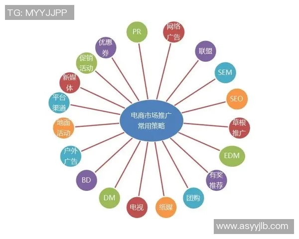 深入分析杭州羽毛球队的运营策略与发展模式探讨