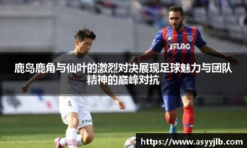 3377体育官网