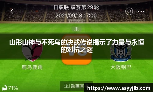3377体育APP